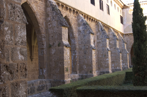 Contrafuertes interiores del claustro del monasterio de Piedra